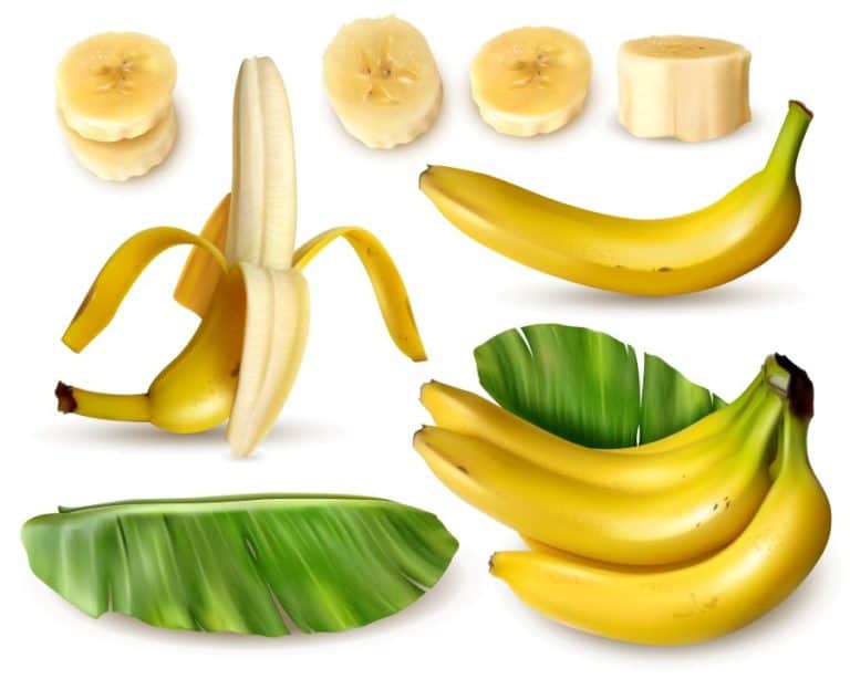 Are Bananas High in Histamine? Histamine Doctor